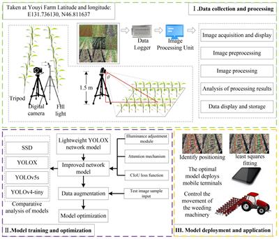 Improving the maize crop row navigation line recognition method of YOLOX